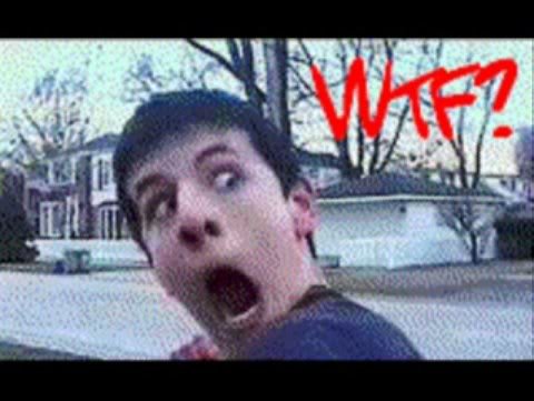 WTF_99f05f2981a82e72d2d0a23952508ad61c8ed4e5.jpg