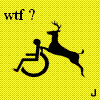 wtf_9bb66493aea149556163f42f410ec5eebfcf75d5.gif