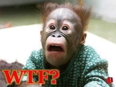 wtf_ae331d8813ffaf06f27d0b3f95b1ee50c9e27f9e.jpg