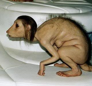 wtf_b4a0f935b1f9ee65d676b3d4e5662ca3e74745a7.jpg