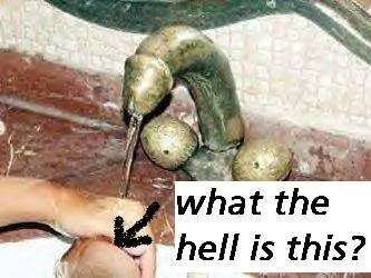 wtf_b5ed9ace9ec7409476d791ac8a9eb75b6bd11529.jpg
