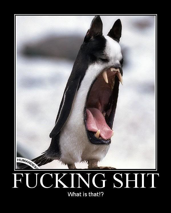 WTF_ba3c7a24e00129c233d778787938e653ae8a5e44.jpg