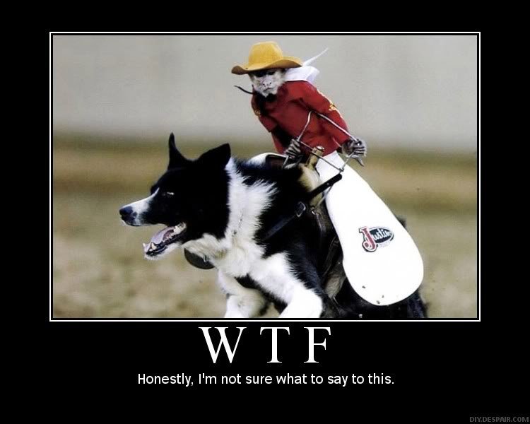 WTF_c4bdfc561f471ee00d2486ed900555cc989b6809.jpg
