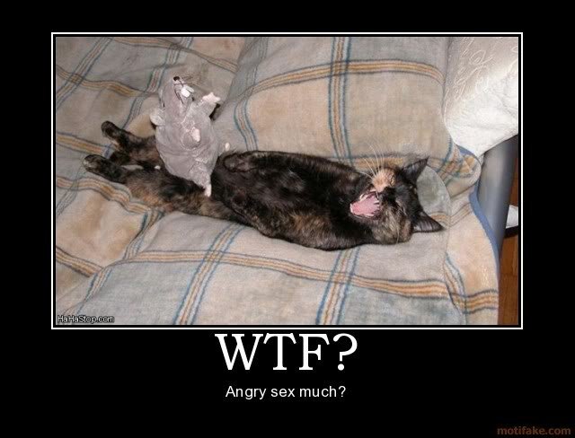 WTF_fa95ceb640ee5054027603d82bbd425288fb3b92.jpg