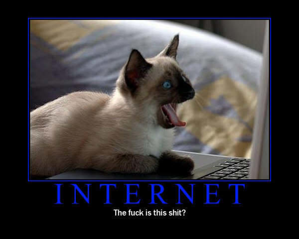 wtfisinternet_8bea8ea7f2fb733cb27d8e3b268acf0c2cdea703.jpg