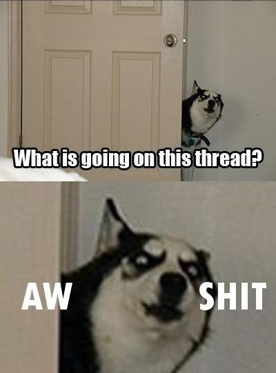 wtfthread_899c3cdf3d7737a1f0af7524c7ac956f78554234.jpg