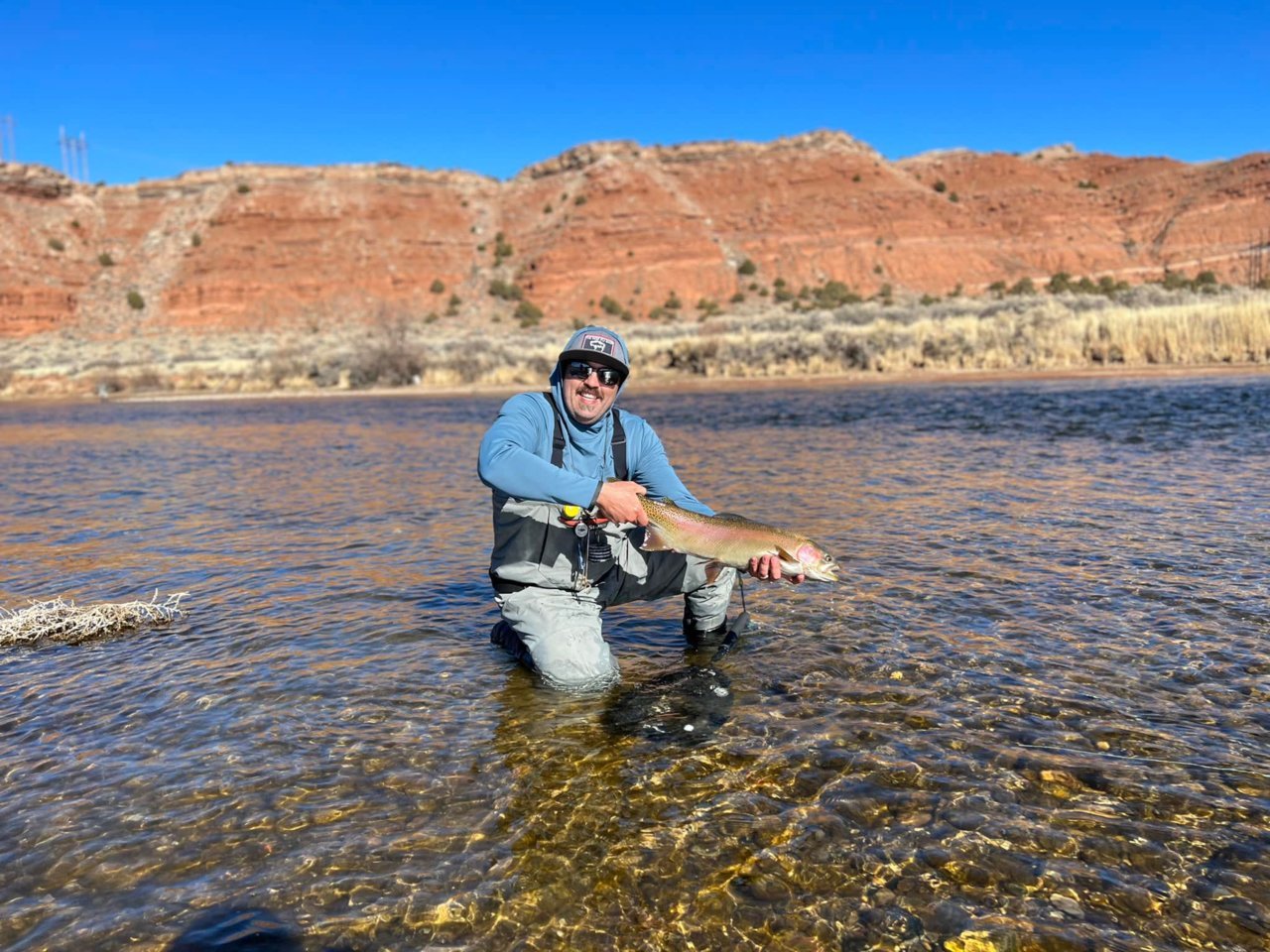 WY cuttbow 3 24.5.jpg
