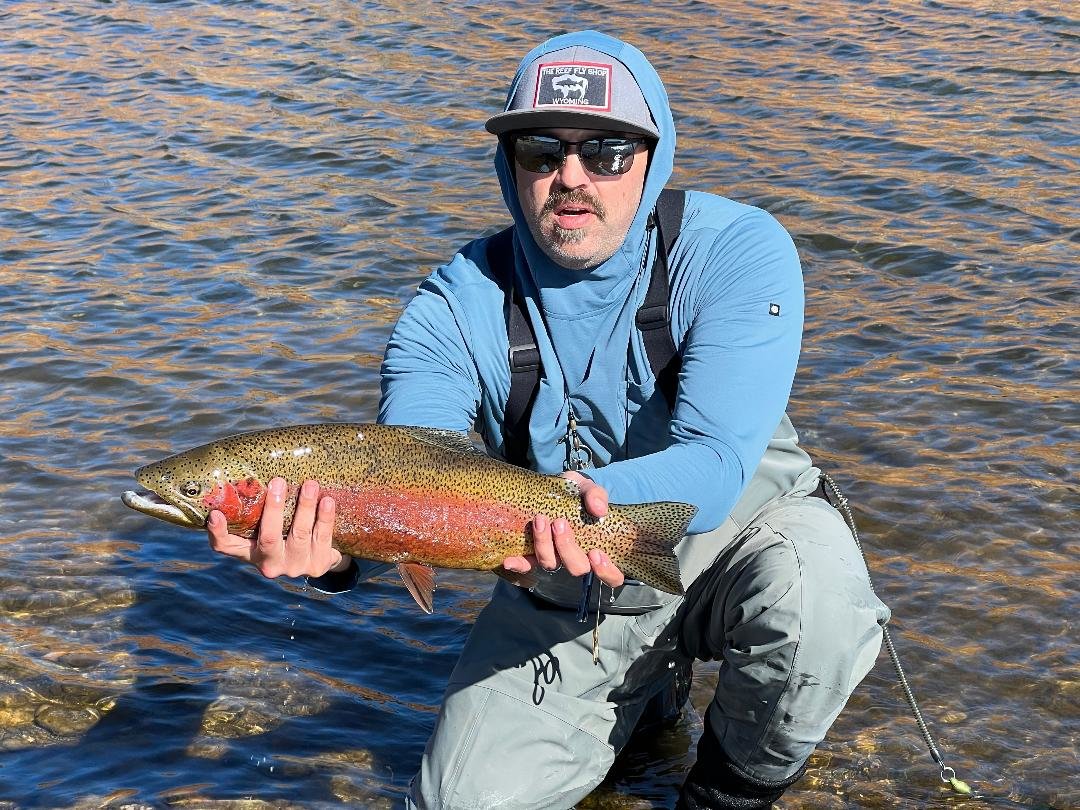 WY cuttbow.jpg