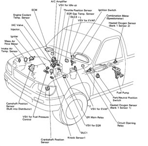 wyet-tacoma95 4cyl-p2it2zgi3flhcbwdsmr2larw-4-0.jpg