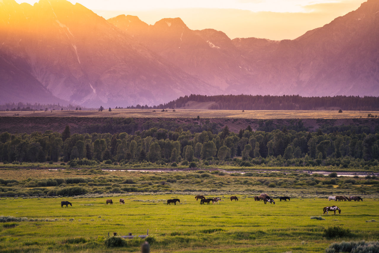 wyoming014.jpg