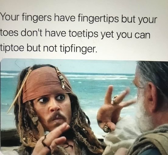 x0_n.jpg
