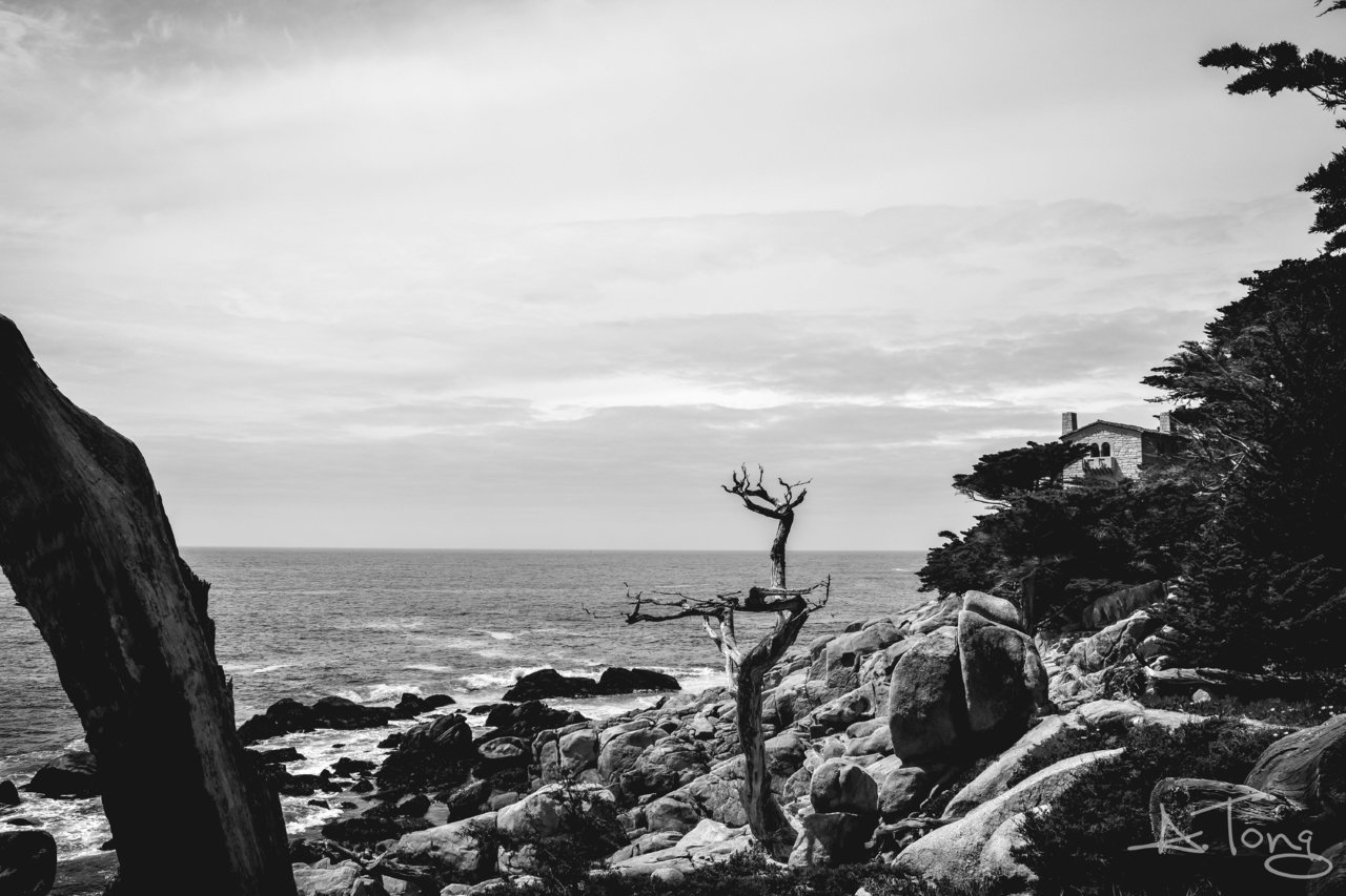 x2 (1 of 1).jpg