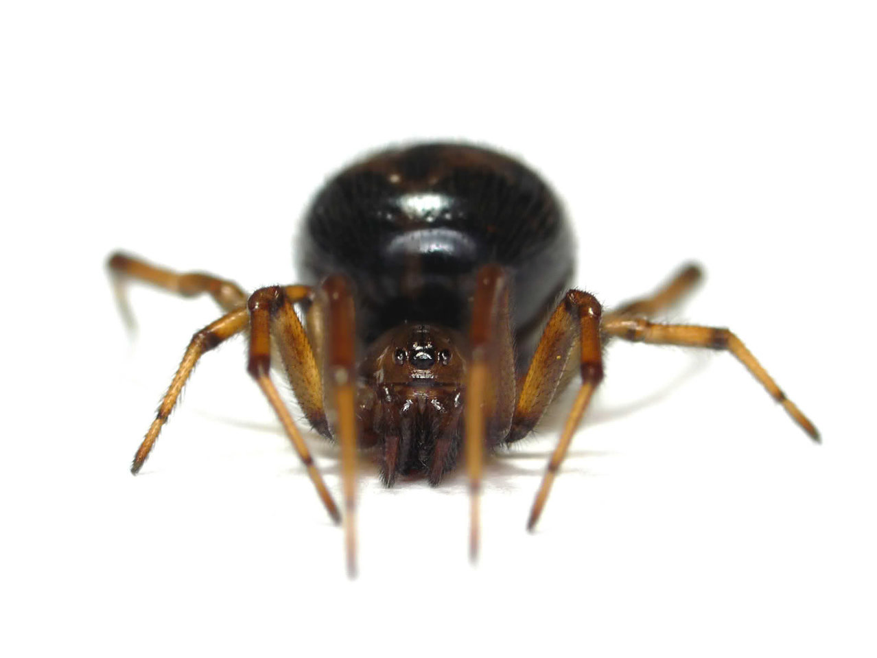 xgk789_0b83bac67b61735a5a55fa577aa020ac6e3af5e3.jpg