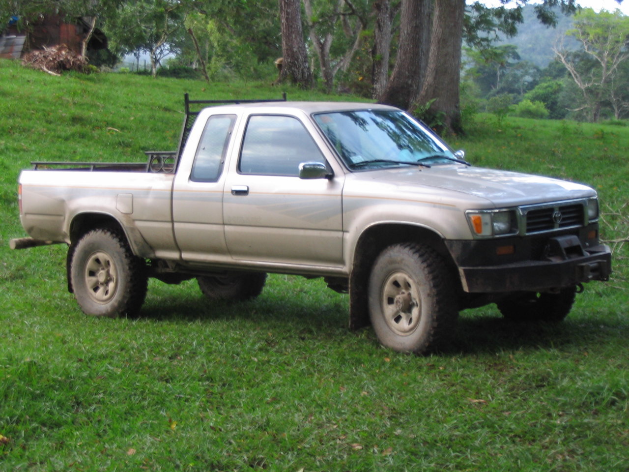 xmas in Bze 07 012.jpg