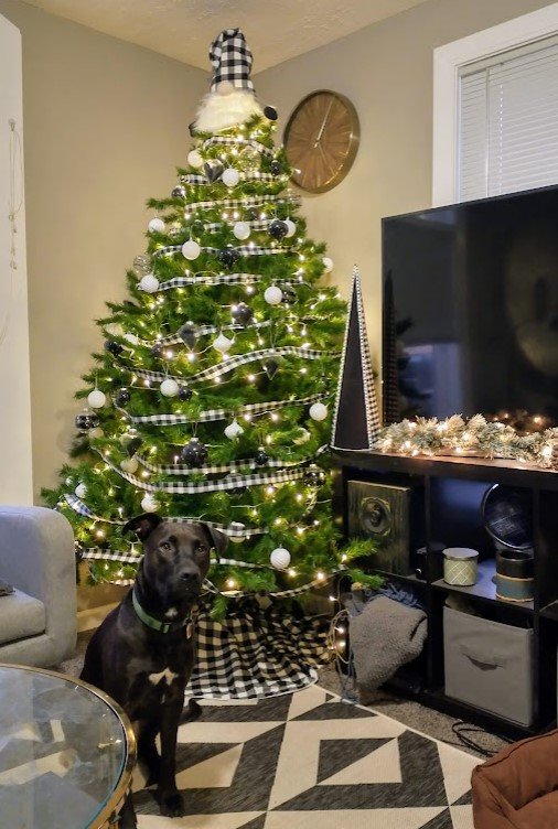xmas tree 2021.jpg