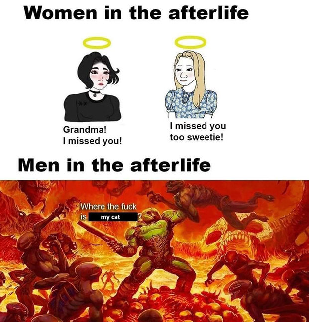 xon6eu4vgvq71.jpg