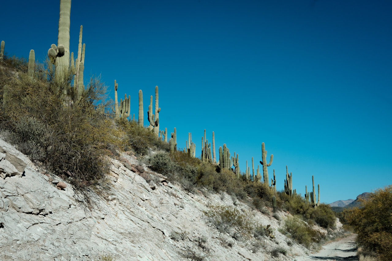 XPRO1074-BLURB.jpg