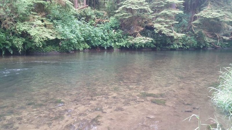 Yachats River 2.jpg