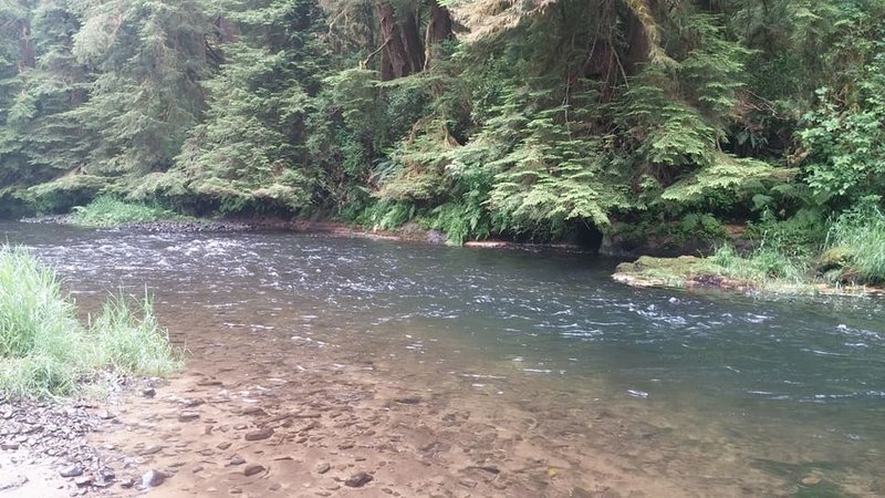 Yachats River.jpg
