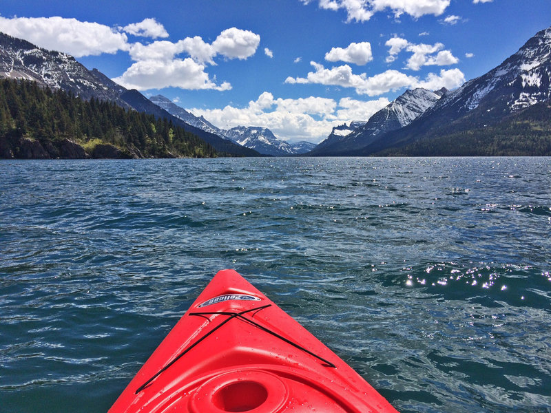 YAK ON LAKE.jpg