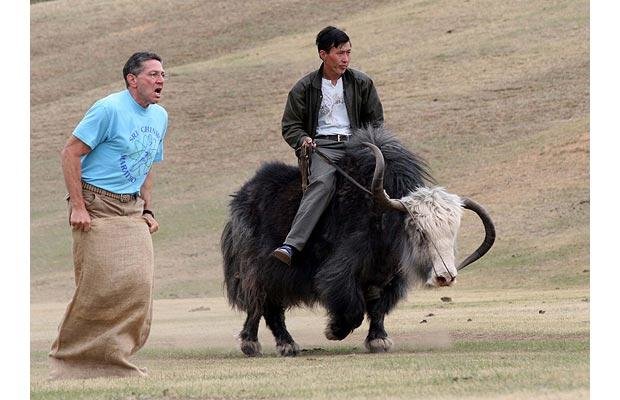 yak-sack-race_1456650i.jpg