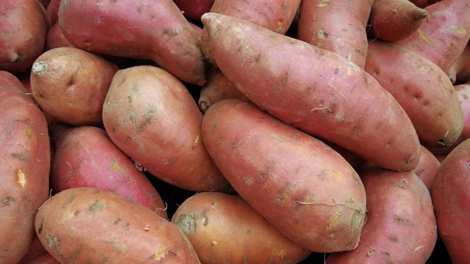 yams-vs-sweet-potatoes.jpg