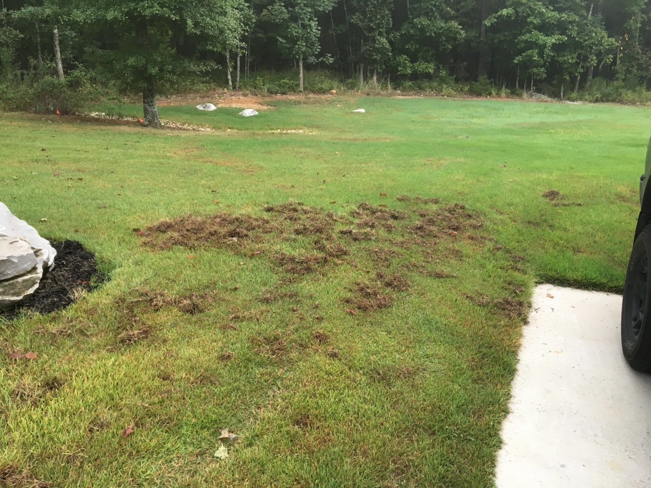 yard.jpg