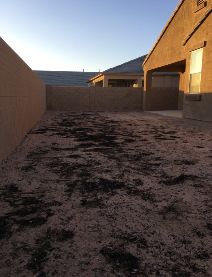 yard.jpg