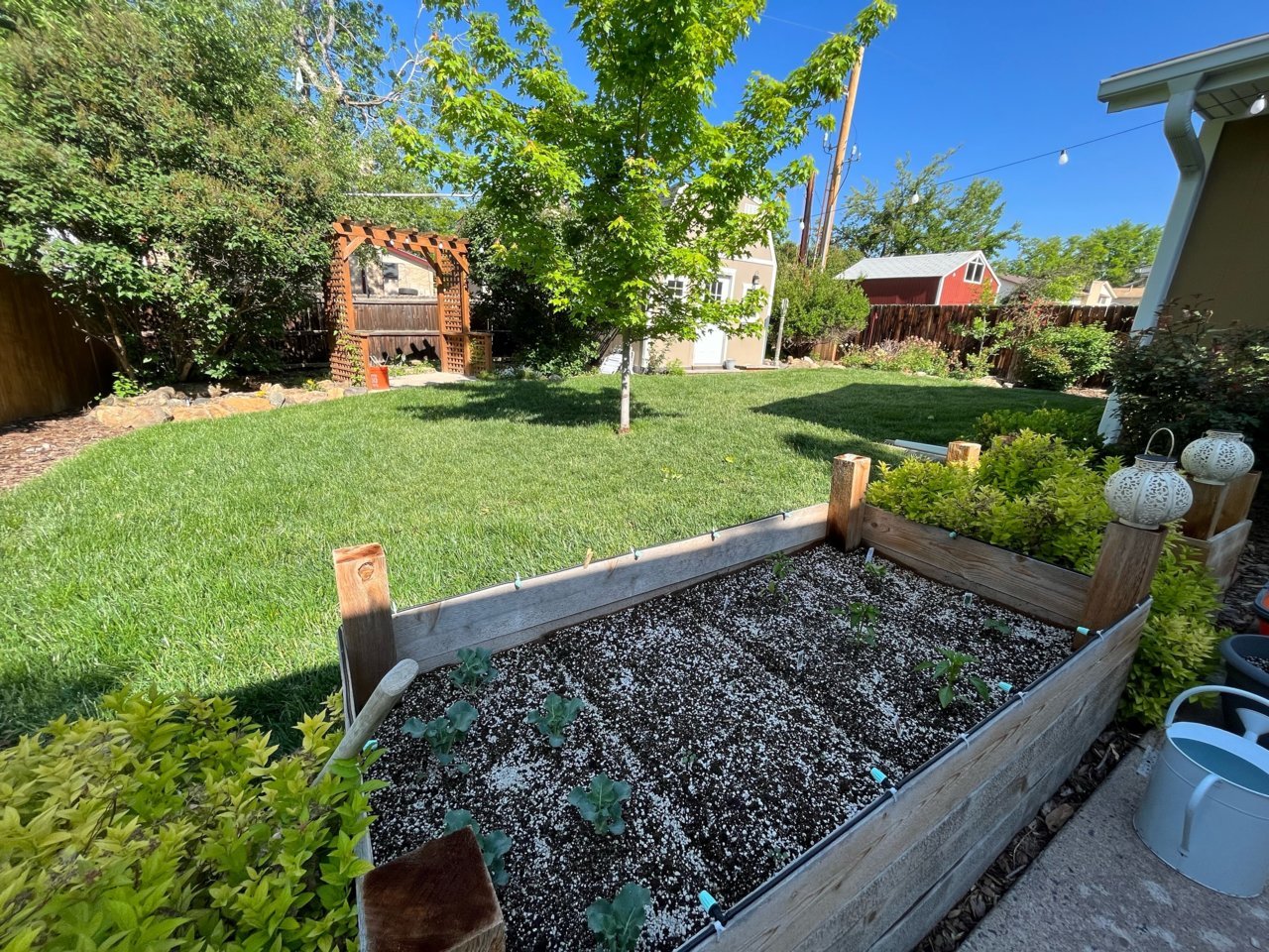 yard.jpg