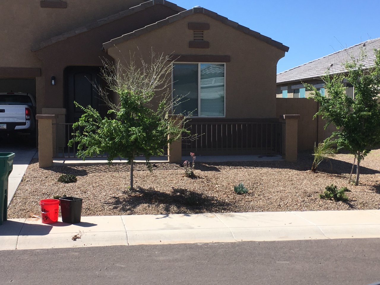 yard2.jpg