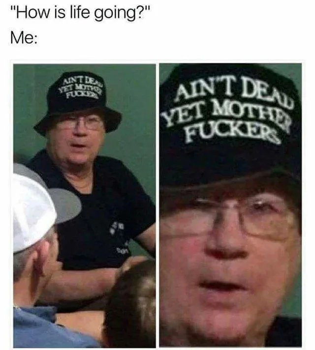 Yeah-1681191630062.jpg