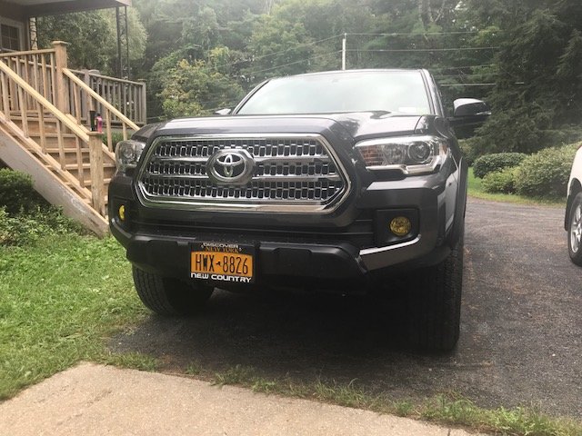 yellow fogs.jpg