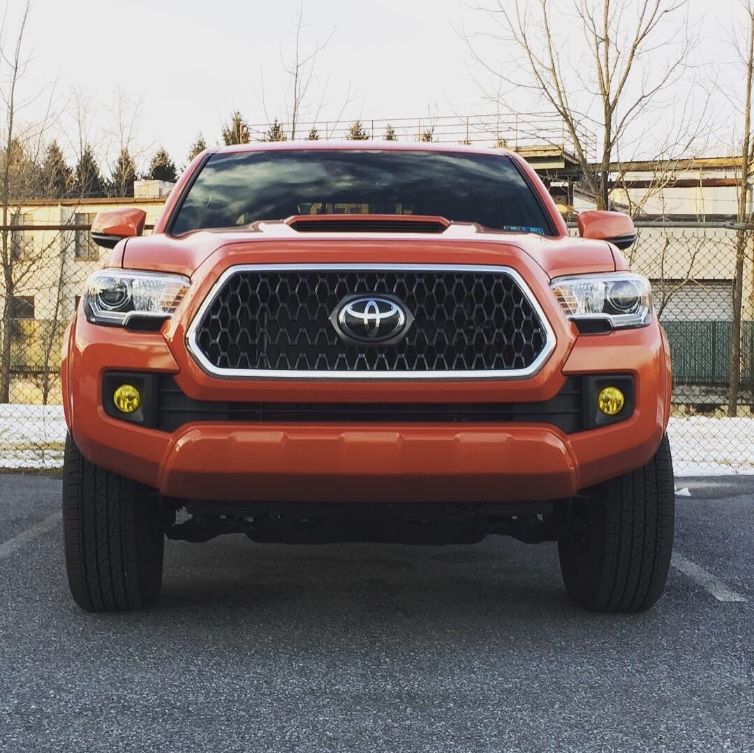 yellow fogs.jpg