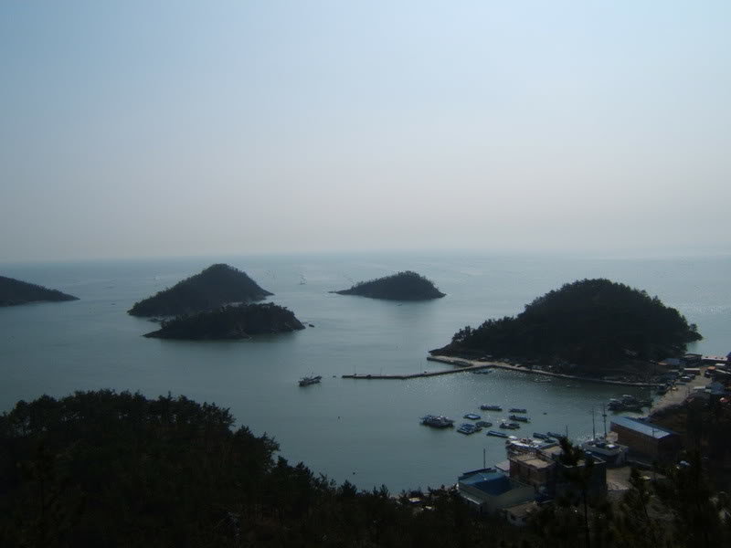 yellowseacruise035_209a0e694a3ea21e7671fc227c7b2e85f36ec0f9.jpg