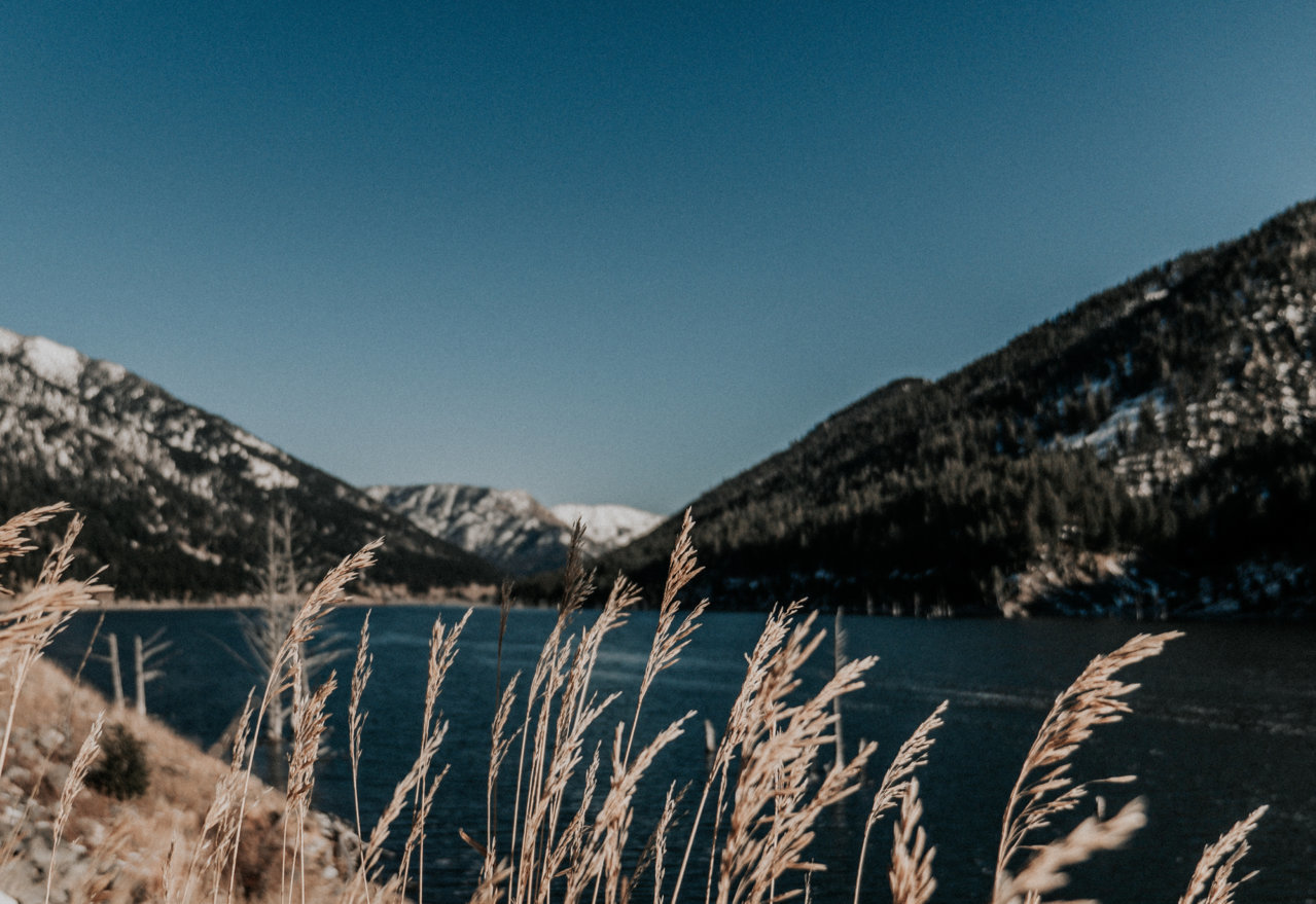 yellowstone.jpg