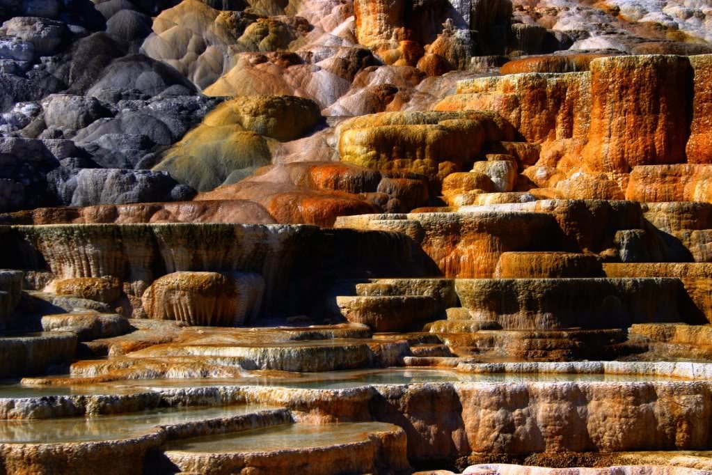 Yellowstone6-1-11_4eef27949de29d443cf9675737287c0f69bfa7ec.jpg