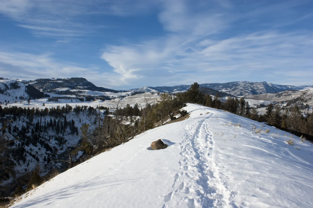 yellowstoneridgesnowtracks_4bd70d285419bebf457d7138b5d55d49b00670fc.jpg