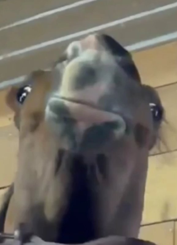 YLE6IZy.png