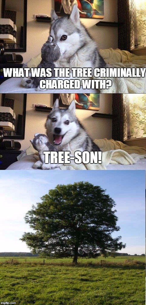 yMrduH1.jpg