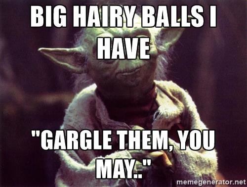 yoda-big-hairy-balls-i-have-gargle-them-you-may.jpg