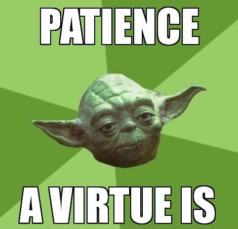 yoda.jpg