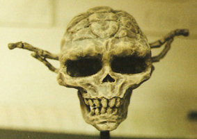 yoda skull.jpg
