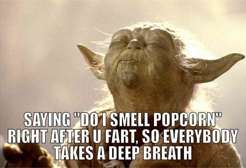 Yoda_Smell_meme_3.jpg
