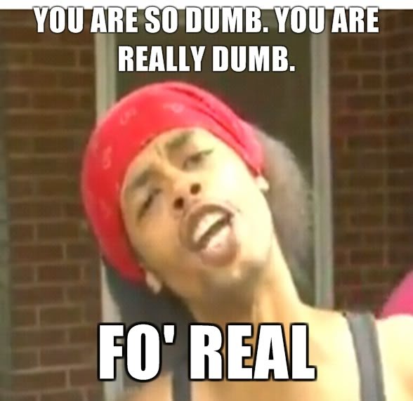 You-are-so-dumb-you-are-really-dumb-fo-r_dc9d28ef2775514c60a677bbfab0d710bbe44120.jpg
