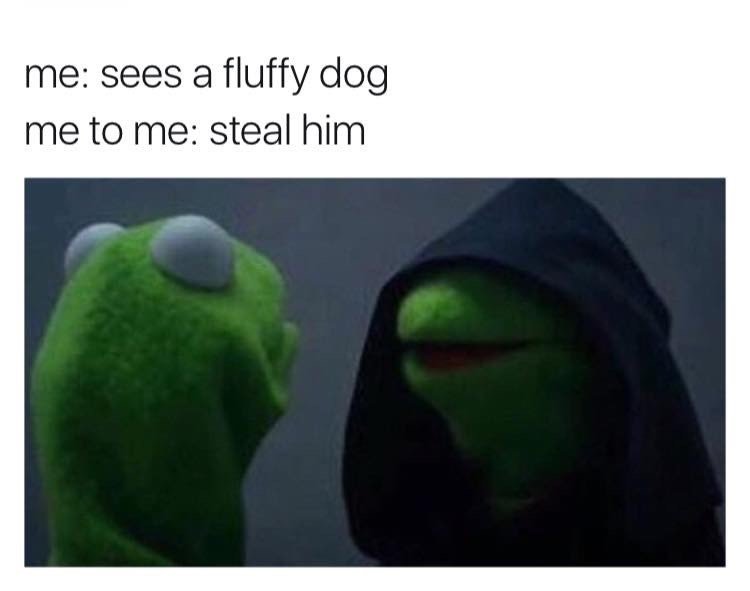 you-cant-keep-stealing-dogs.jpg