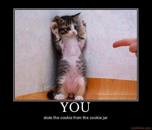 you-cookies-cat-demotivational-poster-12_af2bf016782d2b6f7b9702e24d778e1523c0ebc0.jpg