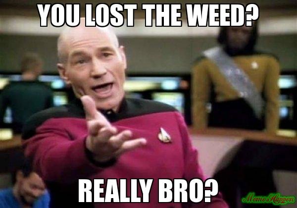You-lost-the-weed-really-bro-meme-2863.jpg