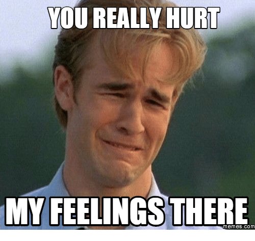you-really-hurt-myfeelingsthere-memes-com-18040648.jpg