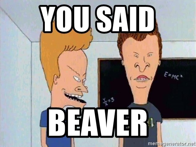 you-said-beaver.jpg