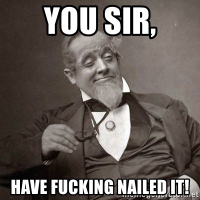 you-sir-have-fucking-nailed-it.jpg